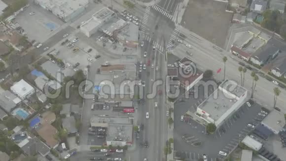 爱丽繁忙的街道与汽车在威尼斯加州棕榈树在阳光下视频的预览图