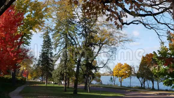 明尼苏达州明尼阿波利斯的卡尔霍恩湖或巴德马卡斯卡湖公园大道上美丽的秋叶和交通视频的预览图