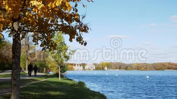 在一个阳光明媚的下午沿着美丽的明尼阿波利斯哈里特湖散步和自行车道秋天的叶子五颜六色蓝色视频的预览图