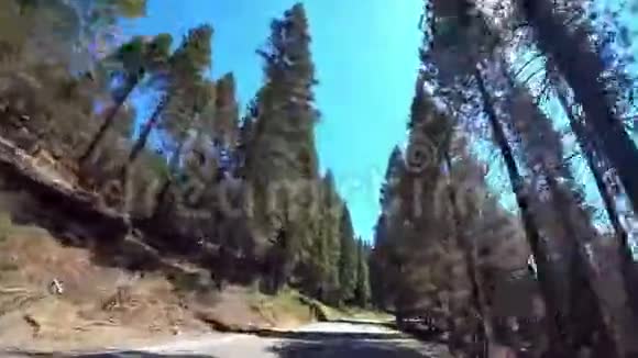 穿过加州的约塞米蒂约塞米蒂国家公园视频的预览图