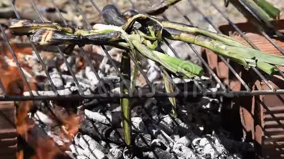 烤蔬菜户外烧烤烹饪青葱视频的预览图