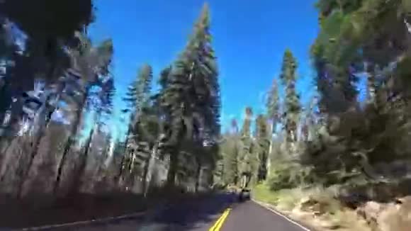 优胜美地板谷森林加州美国视频的预览图