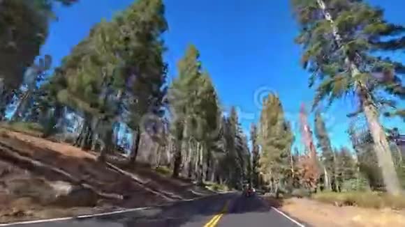 加州约塞米蒂国家公园道路驾驶视频的预览图