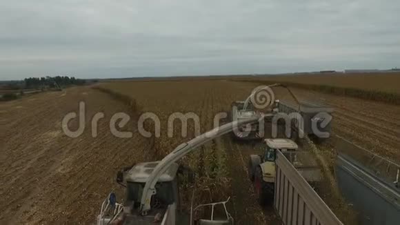 Bryansk地区的特殊农业机械收获视频的预览图