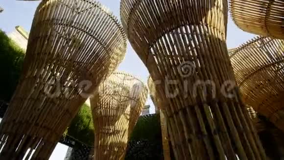 迪拜奇迹公园的竹柱视频的预览图