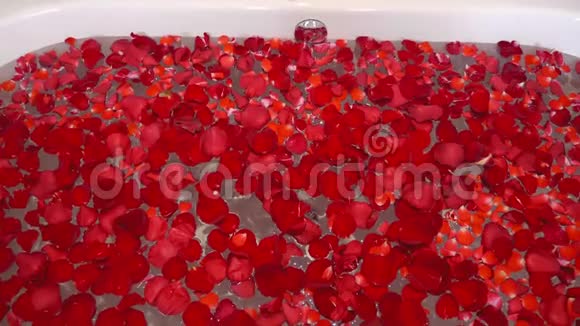 豪华浴室的特写与许多玫瑰花瓣轮换家庭水疗的概念视频的预览图