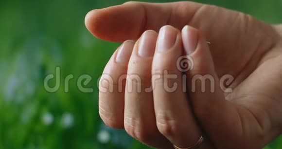 用绿色背景上的绿树树苗张开你的手尊重自然视频的预览图