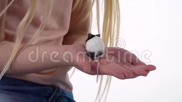 金发碧眼的小女孩正拿着白色背景的装饰鼠慢动作关门视频的预览图