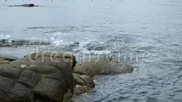 波浪在如画的沙滩上翻滚着巨大的平原石头视频的预览图