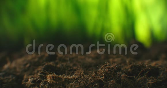 一种用手在地上种植的绿色幼苗的特写镜头农夫用手种一棵幼苗工厂视频的预览图