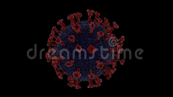 电子显微镜下的单冠状病毒细胞视频的预览图