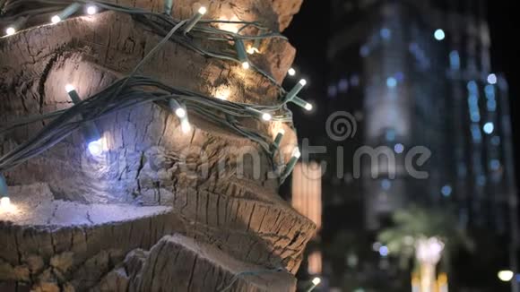 加兰在城市的棕榈树上闪耀着夜晚的光芒视频的预览图