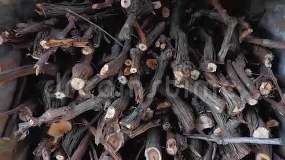一堆准备做烤串的树枝为壁炉准备的柴堆一堆木柴视频的预览图