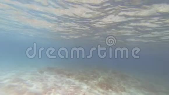 从水下呼吸空气像从梦中醒来或穿越来世视频的预览图