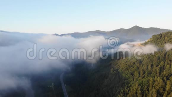 鸟瞰雾蒙蒙的山景黎明晨雾正在树林和山峦上蔓延视频的预览图