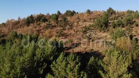 上面是光滑的天桥山坡上有五颜六色的秋树梢金色的秋天4k无人机放大视频的预览图