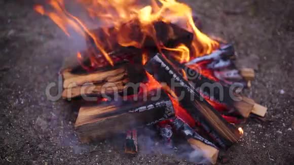 烧烧焦的木柴在户外燃烧篝火视频的预览图
