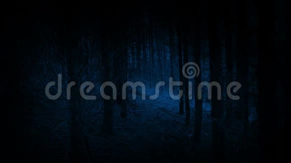 夜间向森林开放行走的恐惧视频的预览图