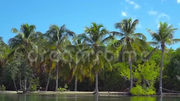 多米尼加共和国热带岛屿视频的预览图