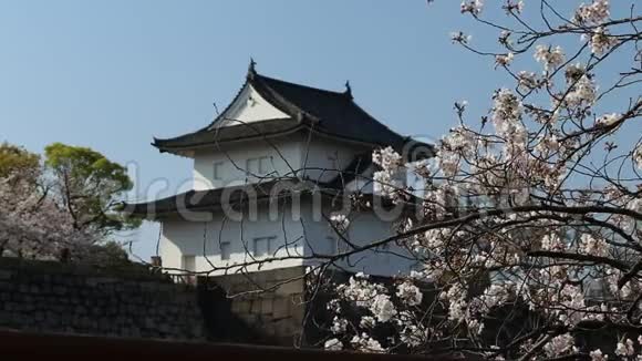 日本大阪城堡的春天视频的预览图