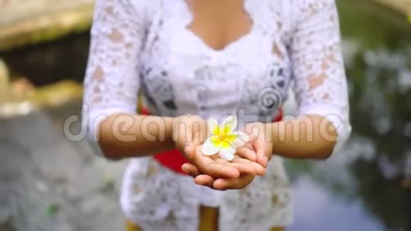 亚洲无法辨认的女孩给了一朵莲花双手伸出手持献视频的预览图