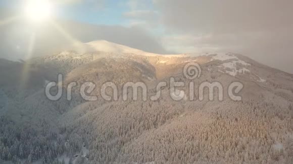 空中拍摄美丽迷人的喀尔巴阡山脉在雪乌克兰大片森林覆盖着白雪视频的预览图