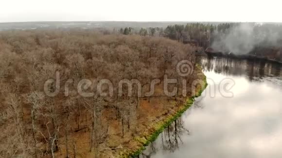空中在一个多雾的早晨在乡间的河流中弯曲海岸上有干燥的树木视频的预览图