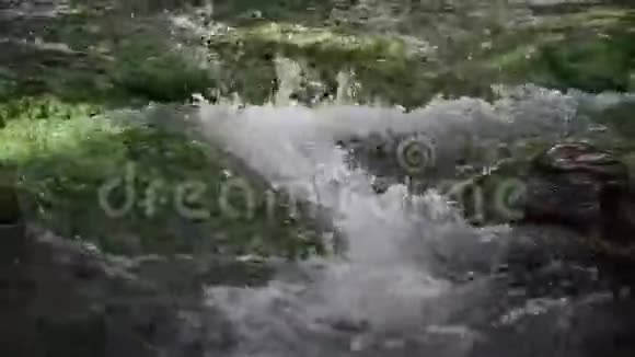 有蓝藻的瀑布在溪流中流动视频的预览图