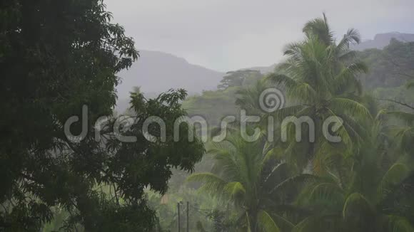 热带雨过芒果树和青山马河岛塞舌尔视频的预览图