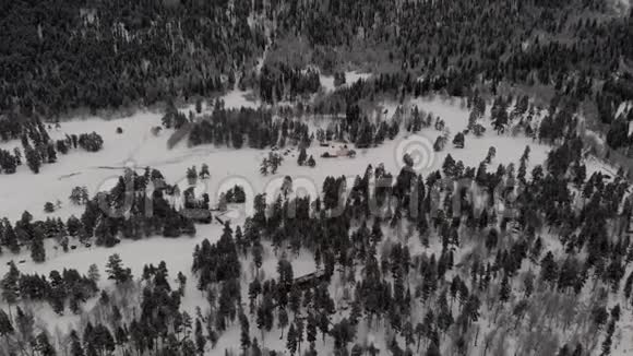 山林树木白雪灰色冬季俄罗斯阿尔克赫赫俯视图视频的预览图