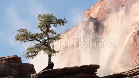 陡峭的悬崖和飘浮的云层前一棵孤独的杜松树视频的预览图