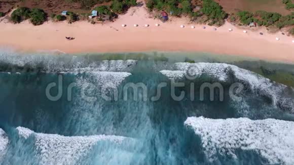 巴厘岛野生海滩的空中视频海滩上的一排太阳伞视频的预览图