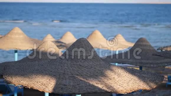埃及海滩与伞在红海附近的珊瑚礁红海海岸度假村落基海滩在海湾海岸线视频的预览图