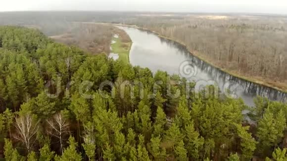 空中河流一侧的松林景观和另一侧裸露的落叶树景观视频的预览图