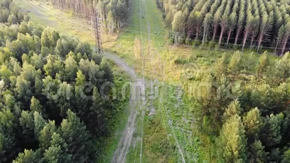 位于森林中的电力线路的高空俯视4k视图视频的预览图