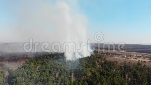 大片森林正在燃烧空中大规模森林火灾火在松林中从高处眺望飞行飞行视频的预览图