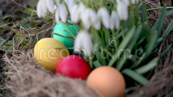 五颜六色的复活节彩蛋在花园里盛开的花朵附近视频的预览图