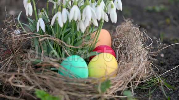 五颜六色的复活节彩蛋躺在花园里盛开的花朵附近视频的预览图