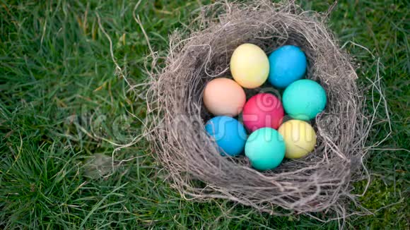五颜六色的复活节彩蛋躺在草地上的巢里复活节彩蛋狩猎视频的预览图