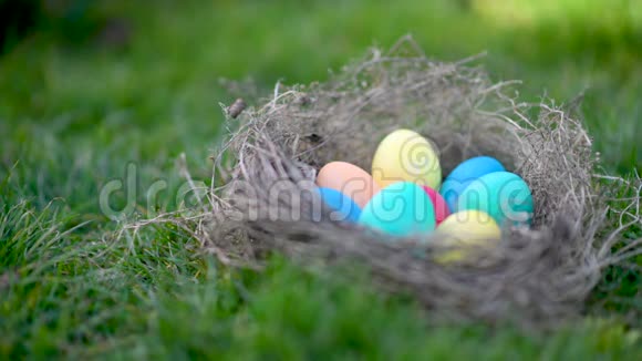 五颜六色的复活节彩蛋躺在草地上的巢里寻找复活节彩蛋视频的预览图