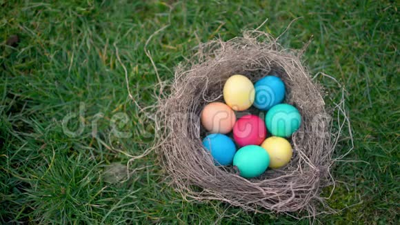孩子们手从草地上的一个巢里拿着五颜六色的复活节彩蛋视频的预览图