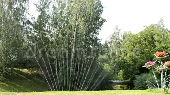 阳光明媚的一天在夏天给公园的绿色草坪浇水水以风扇的形式喷洒以树为背景视频的预览图