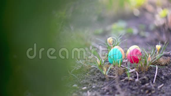 五颜六色的复活节彩蛋躺在花园里盛开的花朵附近视频的预览图
