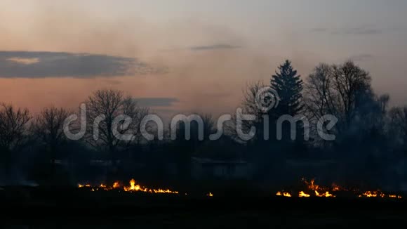 日落时在草地上或村庄附近的田野里烧草火焰和浓烟的色调生态危害中等视频的预览图
