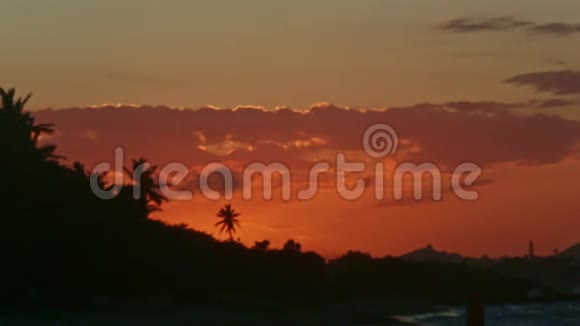 从红日落日的天空中聚焦棕榈树的轮廓视频的预览图
