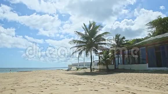 在金色的沙滩上白云绵绵长着大棕榈树视频的预览图