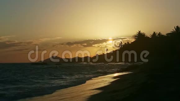 夕阳落在大云和棕榈树后面海洋海岸的轮廓视频的预览图