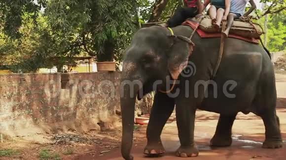游客骑在印度大象的背上视频的预览图