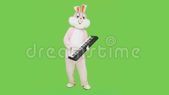男子穿成人巨型兔兔服装真人套装弹钢琴音乐上色度键绿屏钢琴演奏视频的预览图
