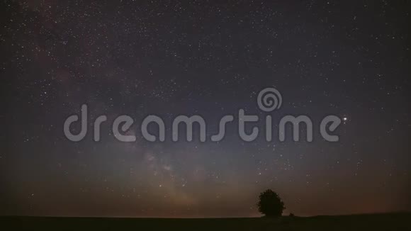 银河系在夜空中星空在寂寞树之上在夏天的草甸发光的恒星和陨石轨迹视频的预览图